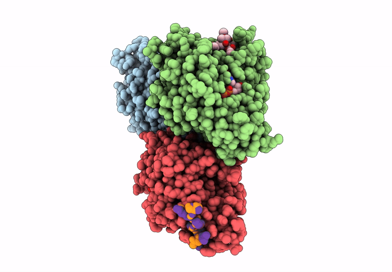 8RHB image