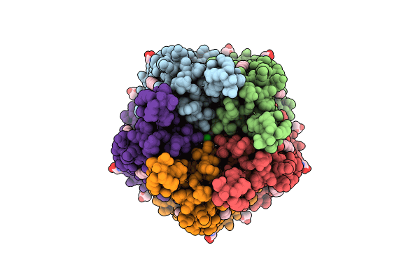 8RHG image
