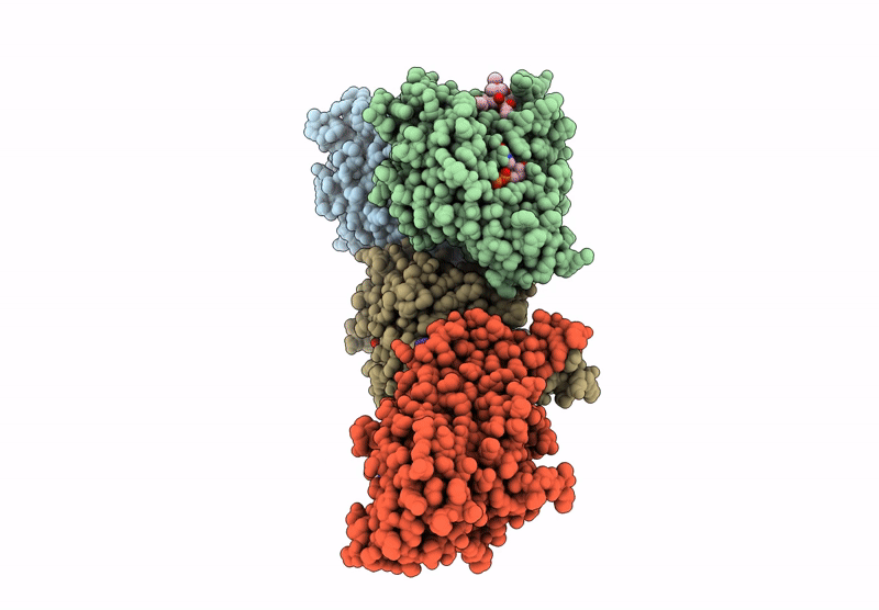 8RHH image
