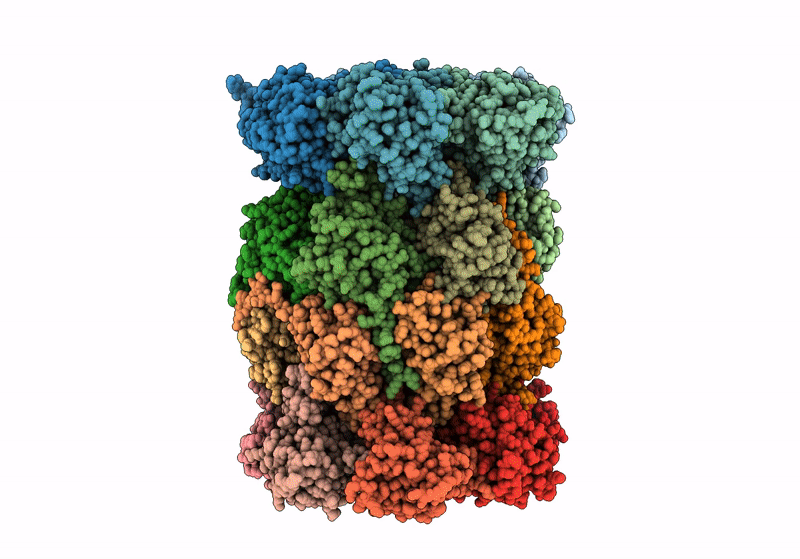 8RHJ image