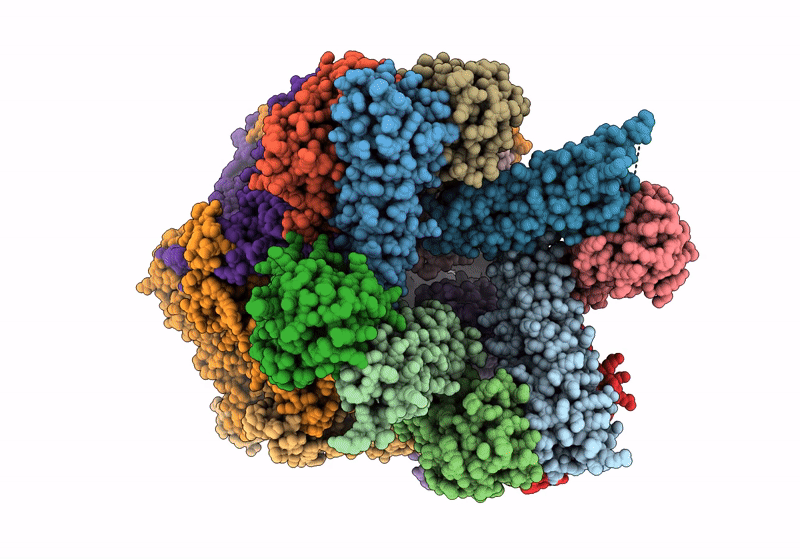 8RHN image