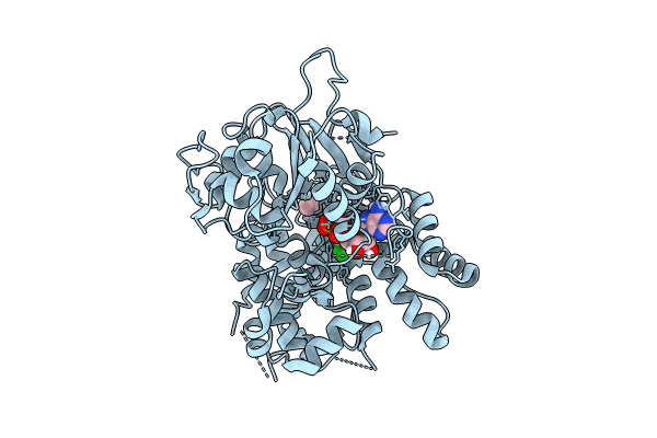 8RI2 image