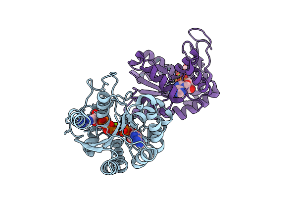 8RJ6 image