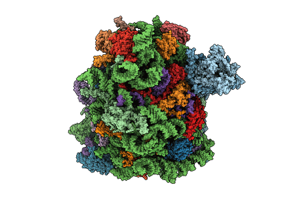8RJB image