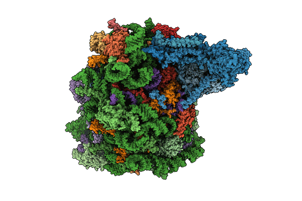 8RJC image