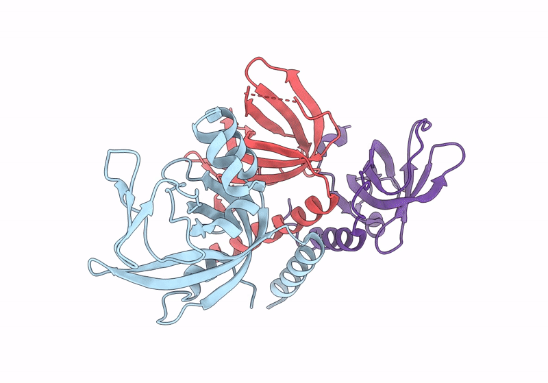 8RK2 image