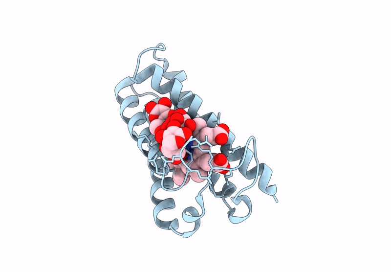 8RKP image