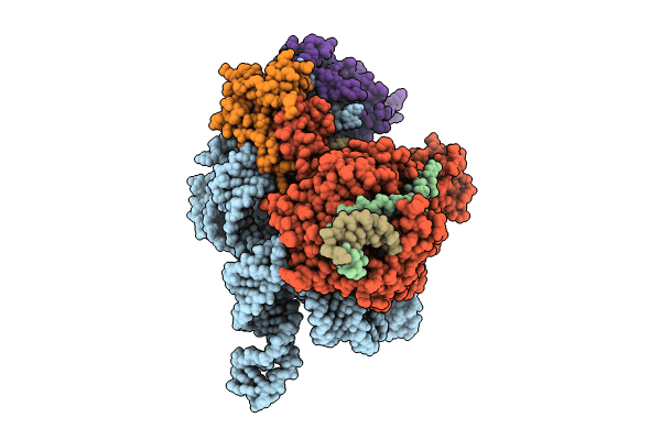 8RKT image