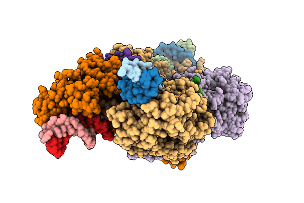 8RKV image