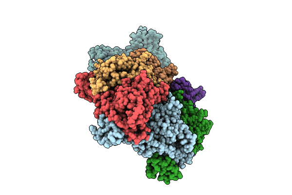 8RKX image