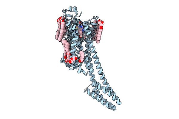 8RLN image