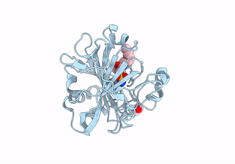 8RLP image