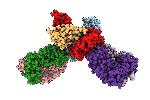 8RLT image