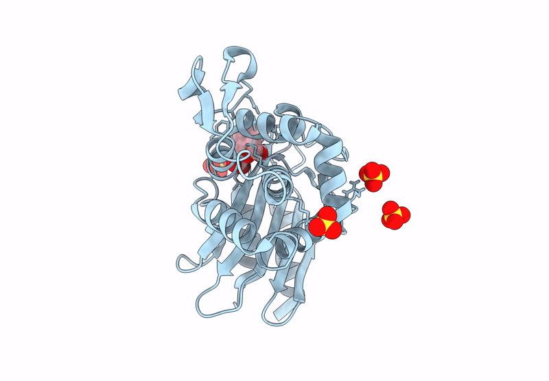 8RMA image