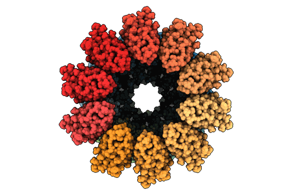 8RMN image