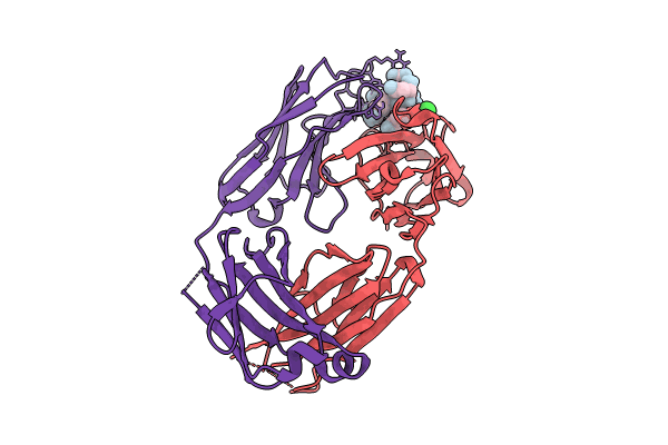 8RMO image