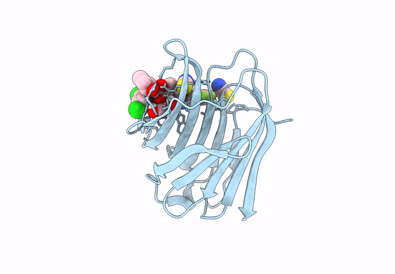 8RMU image