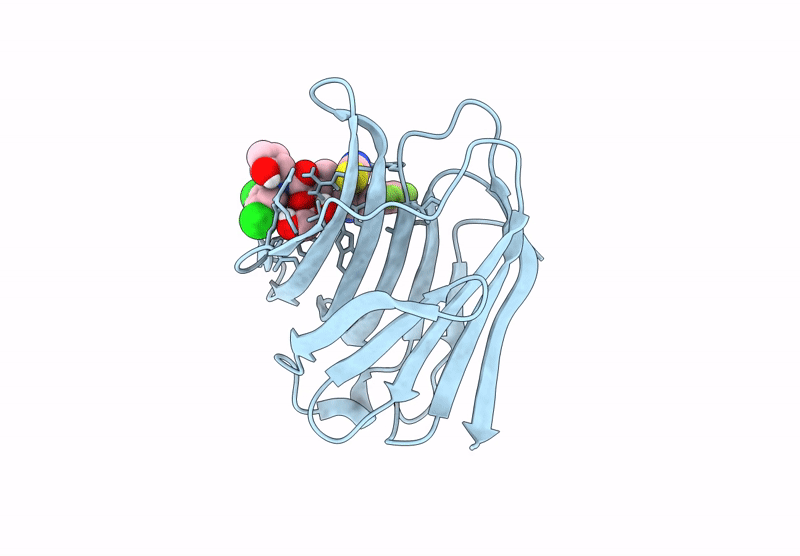 8RMV image