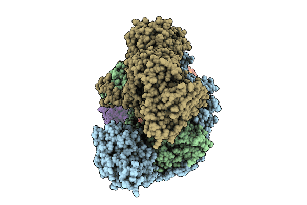 8RN8 image