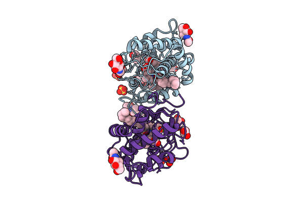 8RNK image
