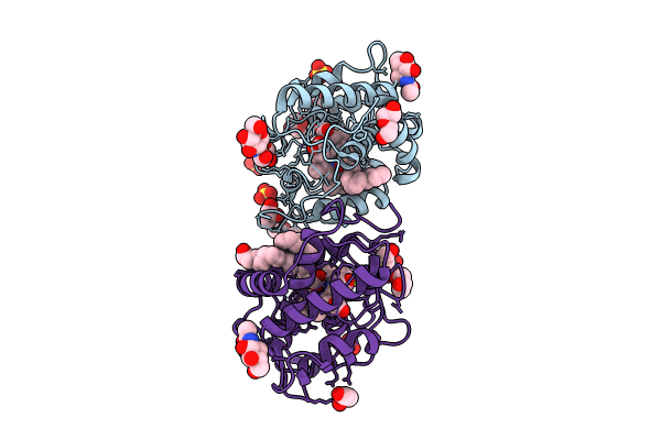 8RNL image