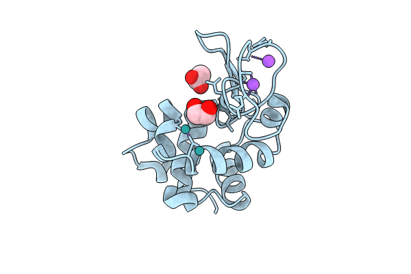 8RNV image