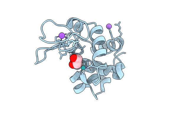 8RNX image