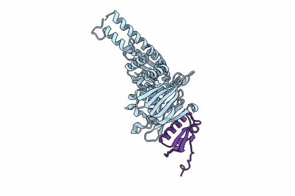 8ROC image