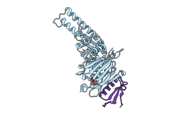8ROD image