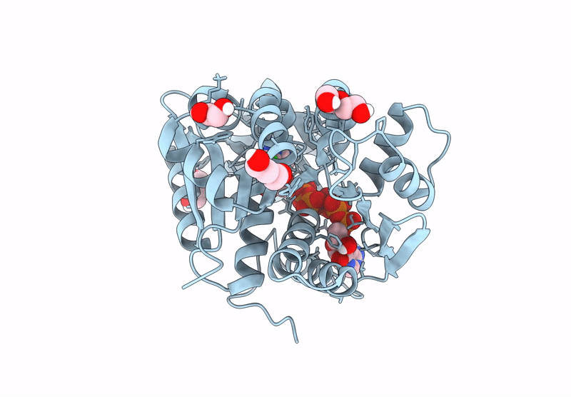 8RPA image
