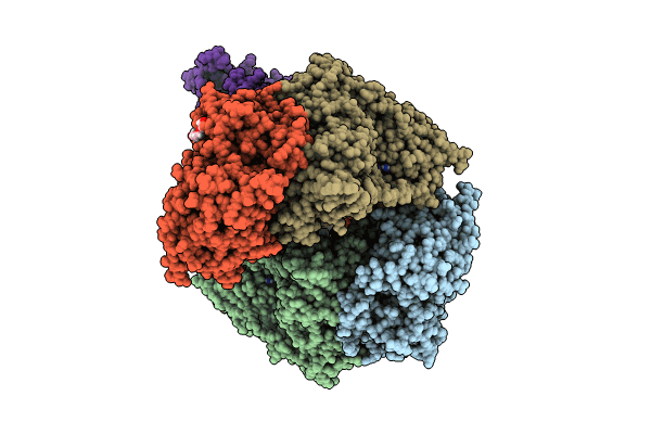 8RPH image