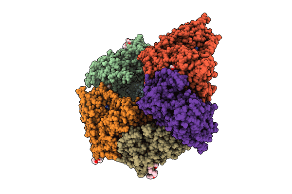 8RPJ image