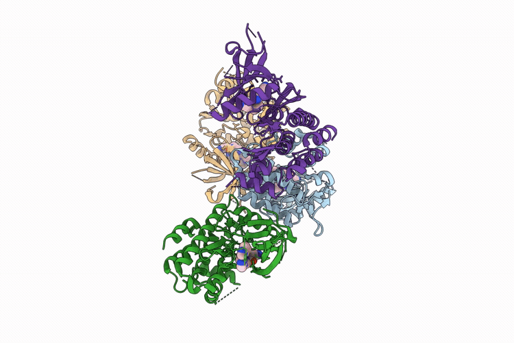 8RPN image