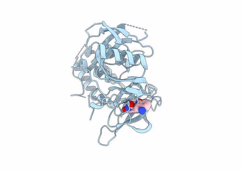 8RQA image