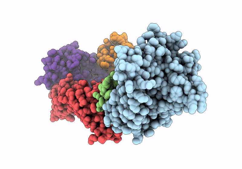 8RQF image