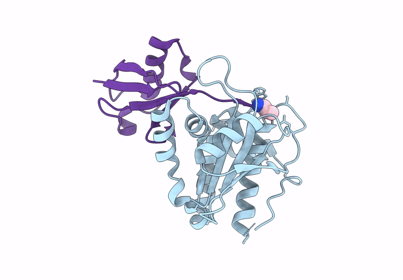 8RQI image
