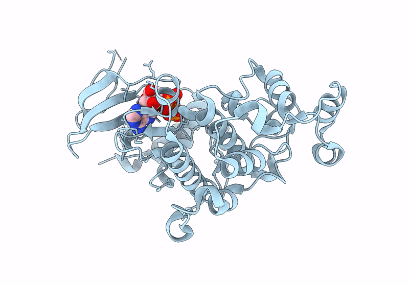 8RQV image