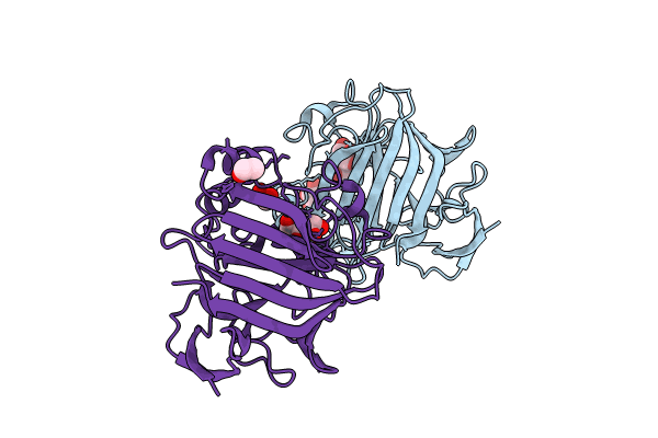 8RR2 image