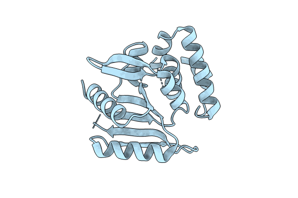 8RR5 image