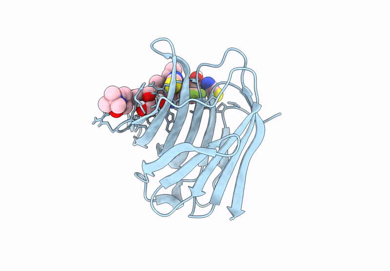 8RRB image