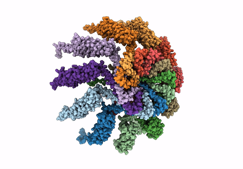8RRH image