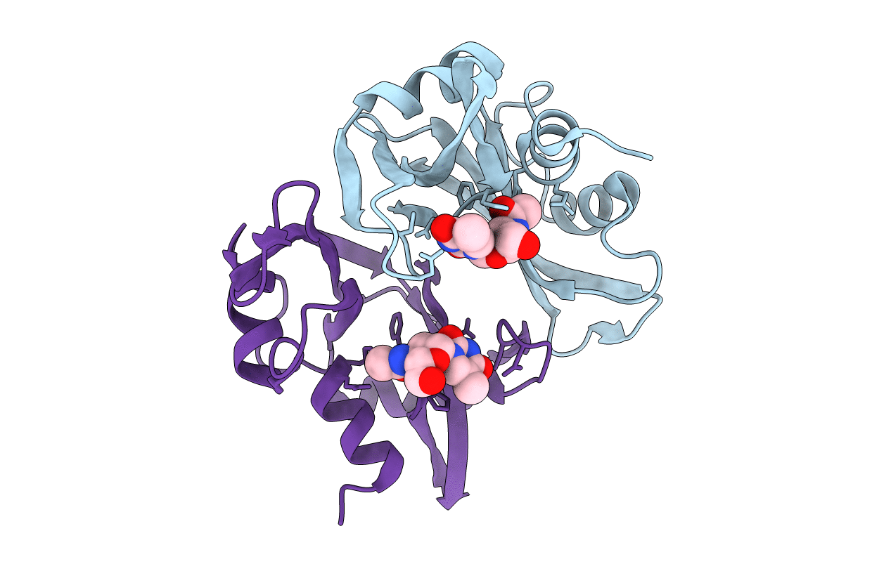 8RSA image