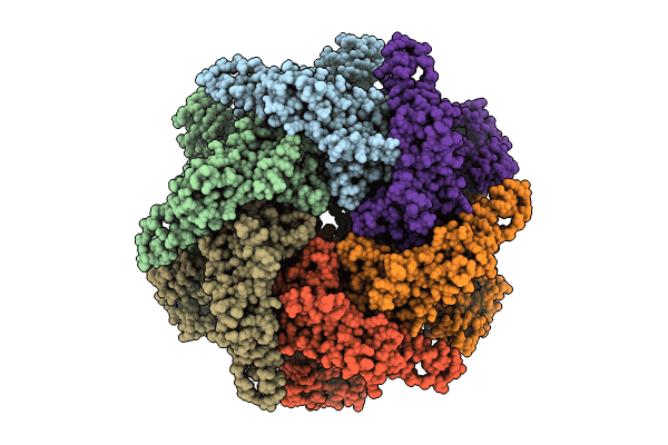 8RSC image