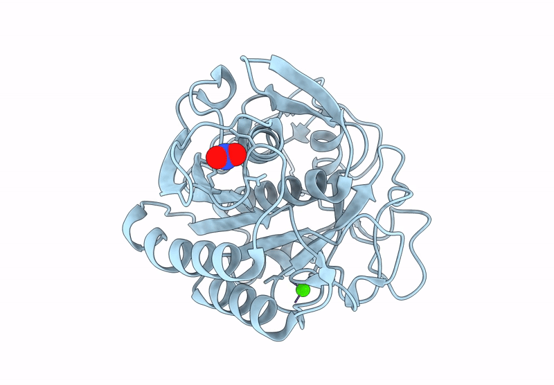 8RSF image