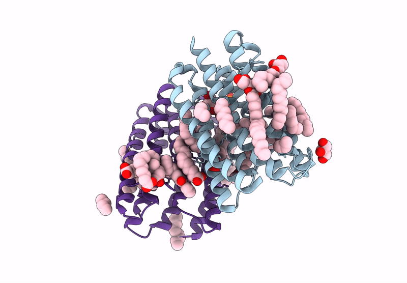 8RSP image