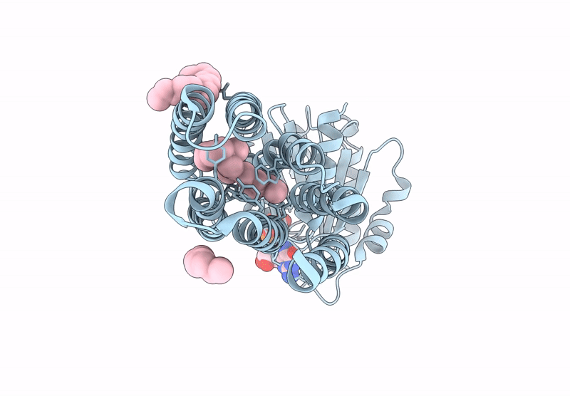 8RSR image