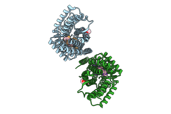 8RSV image