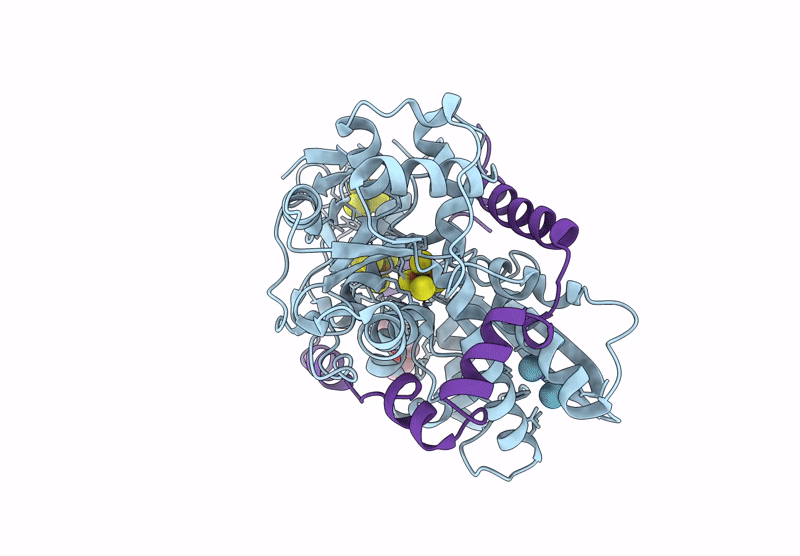 8RTI image