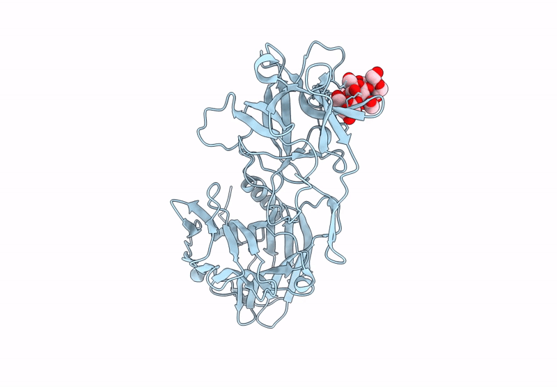 8RVI image