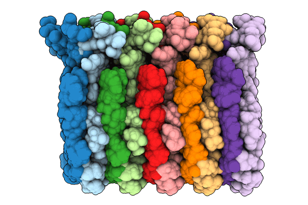 8RVT image